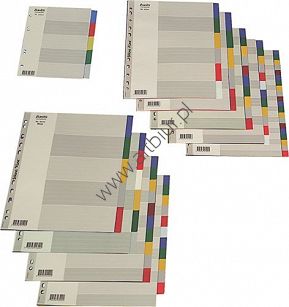 Przekładki do segregatora A4 10 kart PP Oxford plastikowe kolorowe