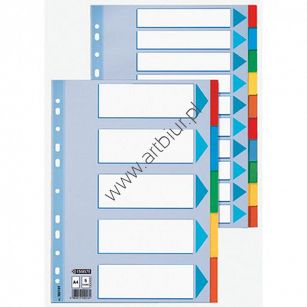 Przekładki do segregatora A4 10 kart Esselte kartonowe kolorowe z kartą opisową